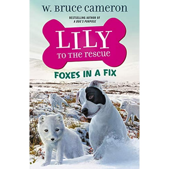 Lily to the Rescue!: Lily to the Rescue: Foxes in a Fix (Hardcover)