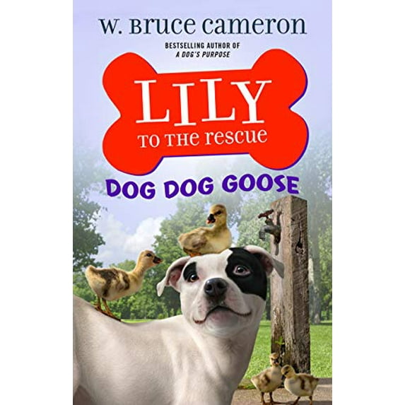 Pre-Owned Lily to the Rescue: Dog Dog Goose (Paperback) 1250234522 9781250234520