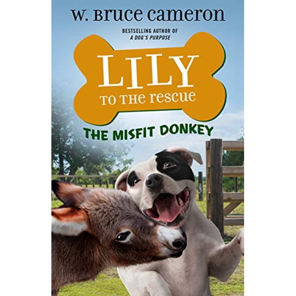 Pre-Owned Lily to the Rescue: The Misfit Donkey (Paperback) 1250762685 9781250762689