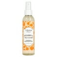 thumbnail image 1 of Lilyana Naturals Vitamin C Face Toner, 6.42 fl oz (190 ml), 1 of 5