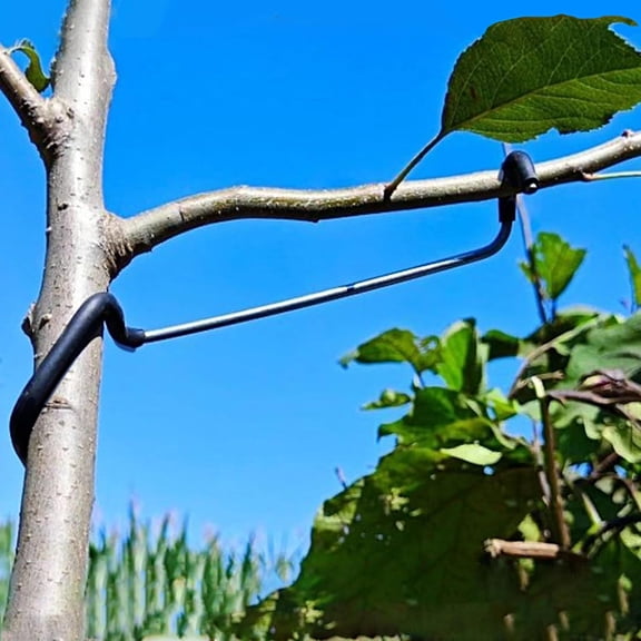 Limb Spreaders For Fruit Trees 10 Pcs 7 Inch Metal Tree Branch Spreaders With Bark Friendly Rubber Hooks Reusable For Apple Pear Cherry