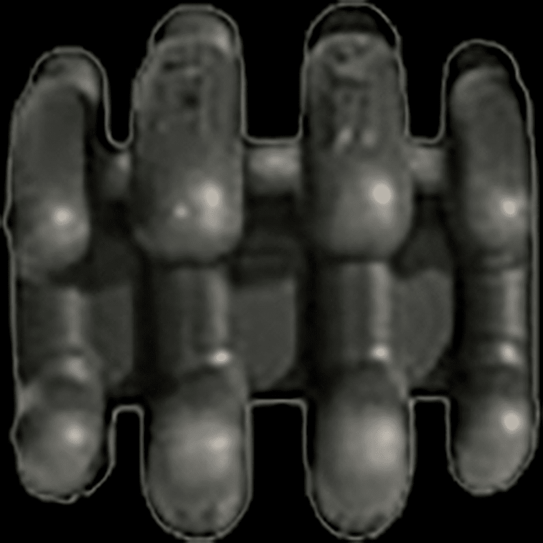 LimbSaver SuperQuad SplitLimb Compound Bow Dampeners, Black