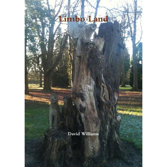 Limbo Land (Paperback)