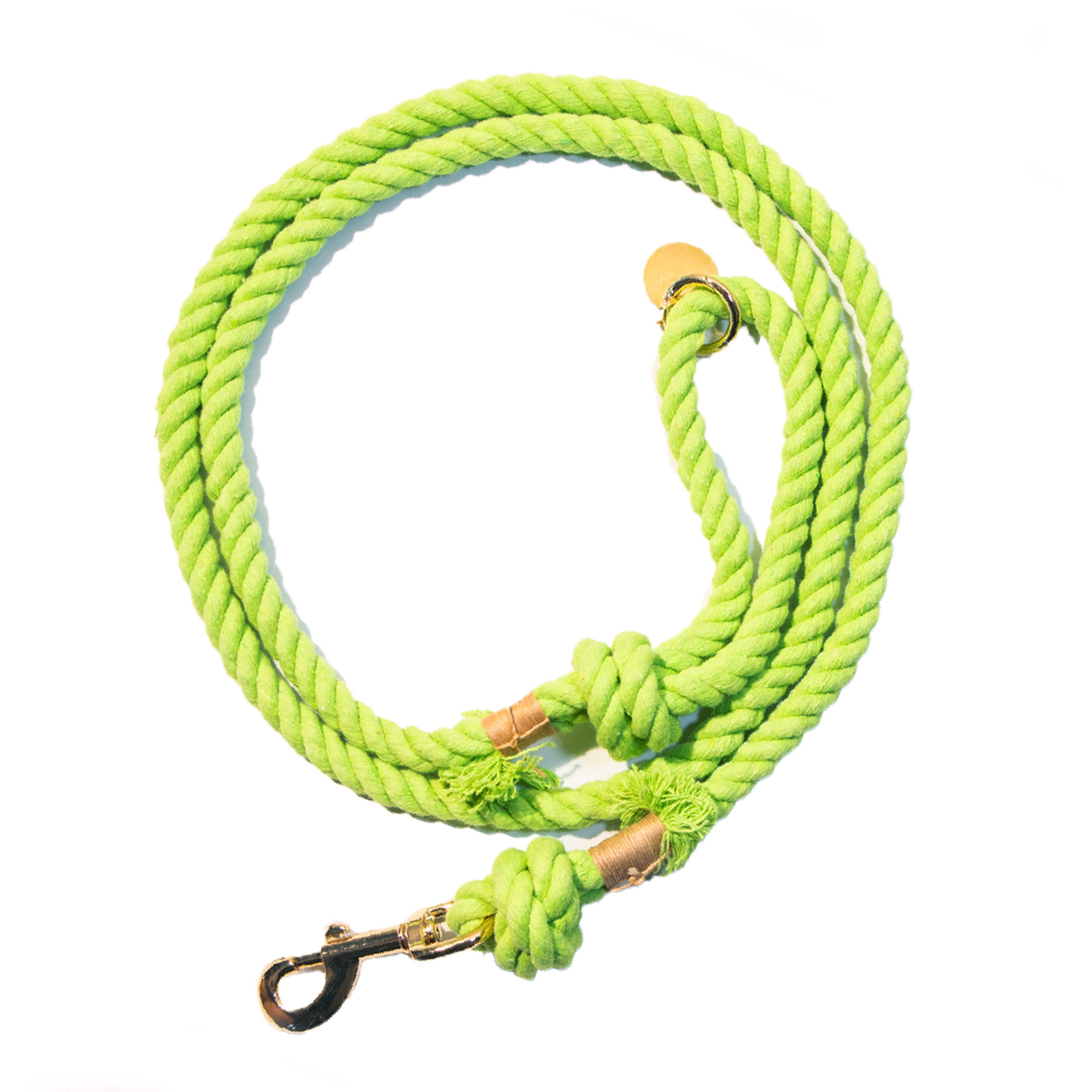 Lime Green Boho Chic Style Dog Leash - Glow Pups