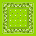 thumbnail image 1 of Bandana Classic Paisley Double Sided Print 100% Cotton Bandana Lime Green, 1 of 1