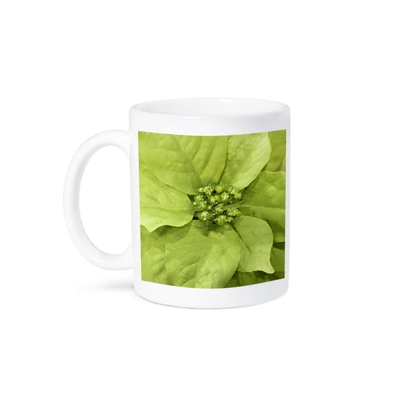 3drose, Lime Green Pointsettia, 11oz Mug