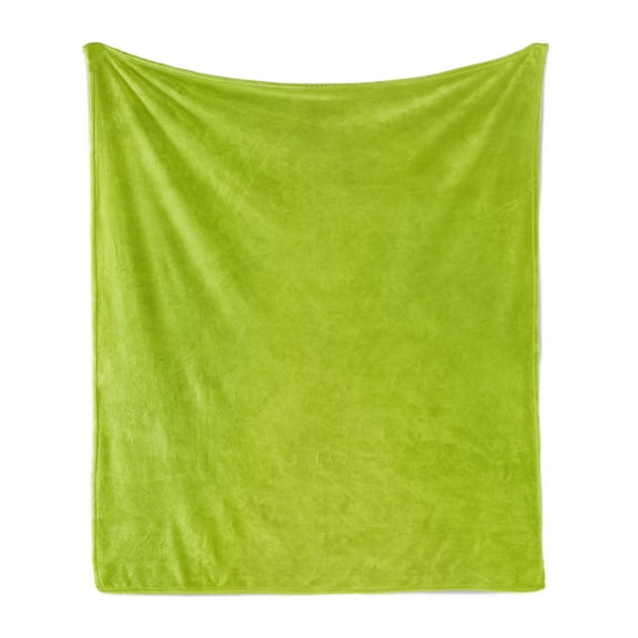 Lime Green Soft Flannel Fleece Blanket, Empty Backdrop Blurry Off Focus Pastel Toned Shade Color Spring Theme Abstract, Cozy Plush for Indoor and Outdoor Use, 60" x 80", Apple Green, by Ambesonne