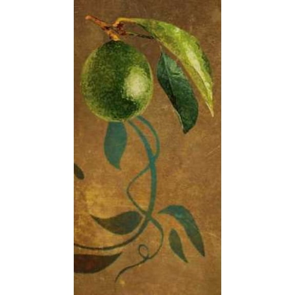 Lime I Canvas Art - Steve Butler (10 x 20)