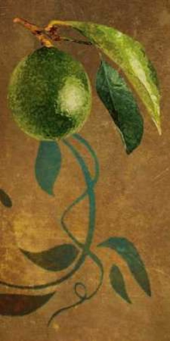 Lime I Canvas Art - Steve Butler (24 x 48)