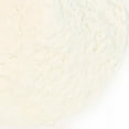 thumbnail image 1 of Lime Juice Powder - 16 oz., 1 of 2