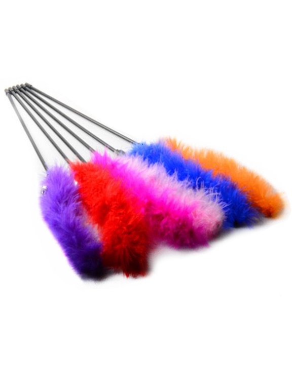 10 Pack Cat Wand Toy Interactive Cat Toys Cat Teaser Wand with Sound Paper and Feather for Cat Kitten (Random Color)