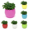 thumbnail image 1 of Limei 5 Pack Cute Succulent Plants Flower Pot Saucer Tray Planter Home Desk Garden Decor, 1 of 7