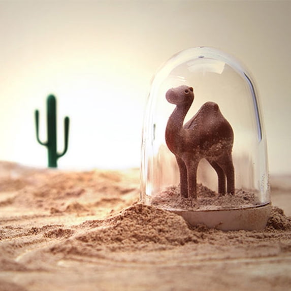 Limei Great Spice Jar Multi-purpose for Kitchen Delicate