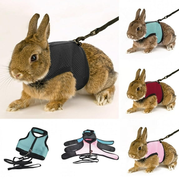 Limei Guinea Pig Harness and Leash Soft Mesh Soft Harness with Elastic Leash Small Pet Harness for Guinea Pigs, Rabbits and Similar Small Animals (Blue)
