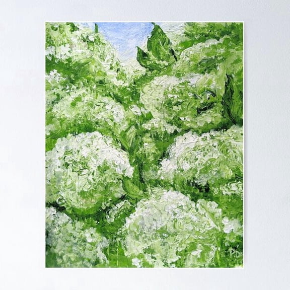 Limelight Hydrangea 1 Poster, Poster Home Decor, Poster Only