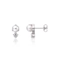 thumbnail image 1 of Limerencia G23 Pure Titanium Hypoallergenic Earrings | F136 Implant Grade Titanium Jewelry for Sensitive Ears for Men and Women, 1 of 11