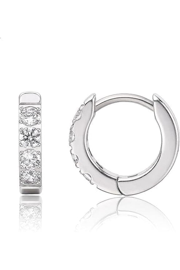 Limerencia G23 Pure Titanium Hypoallergenic Huggie Hoop Earrings for Women Sensitive Ears (10mm)