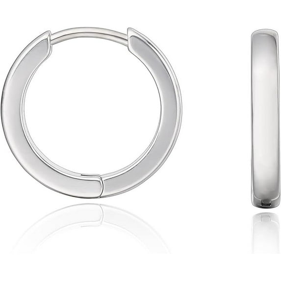 Limerencia G23 Pure Titanium Hypoallergenic Hoop Earrings for Women Sensitive Ears