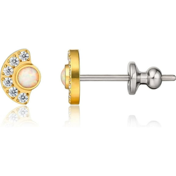 Limerencia Titanium Jewelry Studs, Cubic Zirconia Earrings for Women and Men with Sensitive Ears