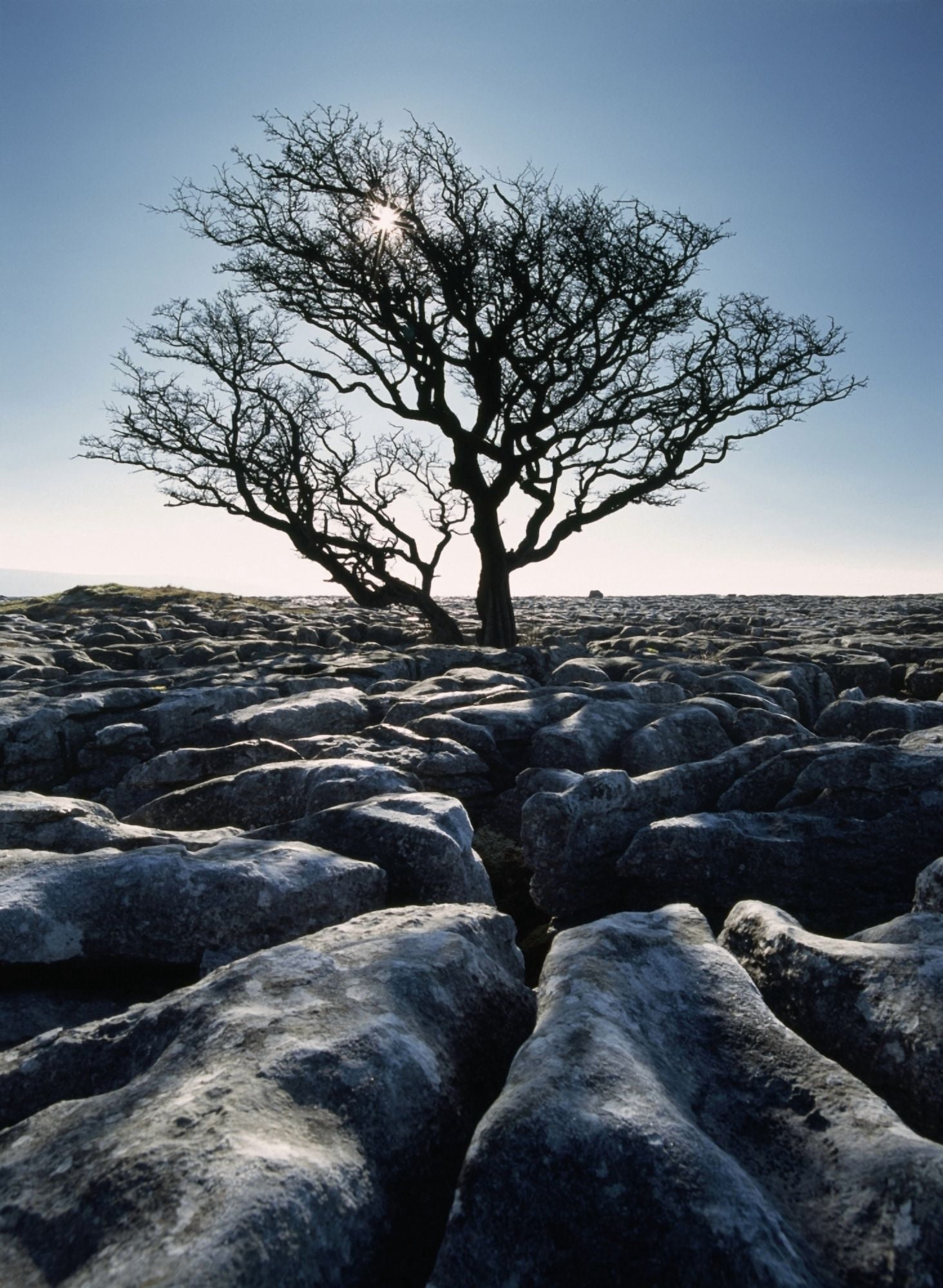 Limestone Pavement At Twisleton Scars Yorkshire Dales National ParkNorth YorkshireEnglandUk Canvas Art - Ian Cumming Design Pics (26 x 36)