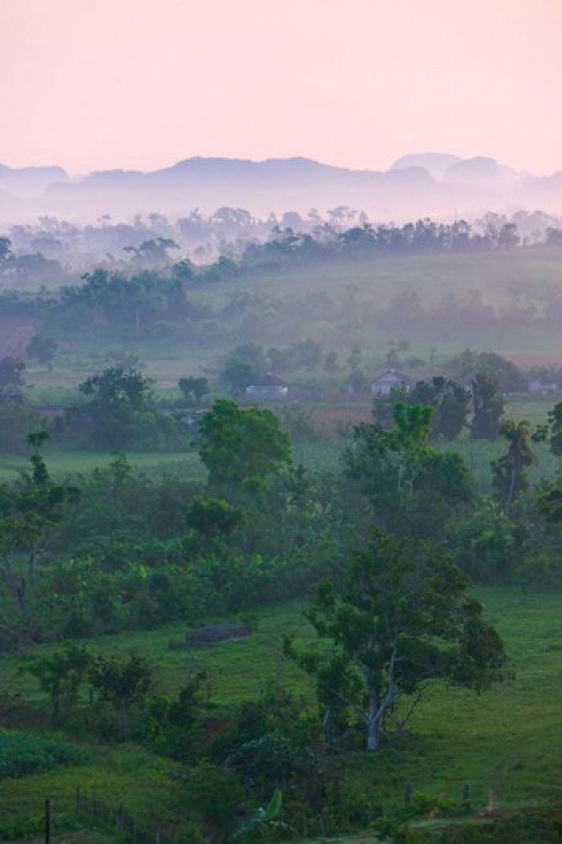 Limestone hill farmland Vinales Valley UNESCO World Heritage site Cuba Canvas Art - Keren Su DanitaDelimont (25 x 38)