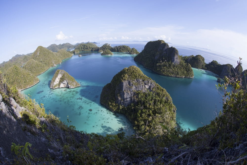 Limestone islands surround a lagoon in a remote part of Raja Ampat Canvas Art - Ethan DanielsStocktrek Images (34 x 23)