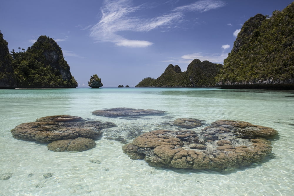 Limestone islands surround corals in a lagoon in Raja Ampat Canvas Art - Ethan DanielsStocktrek Images (34 x 23)