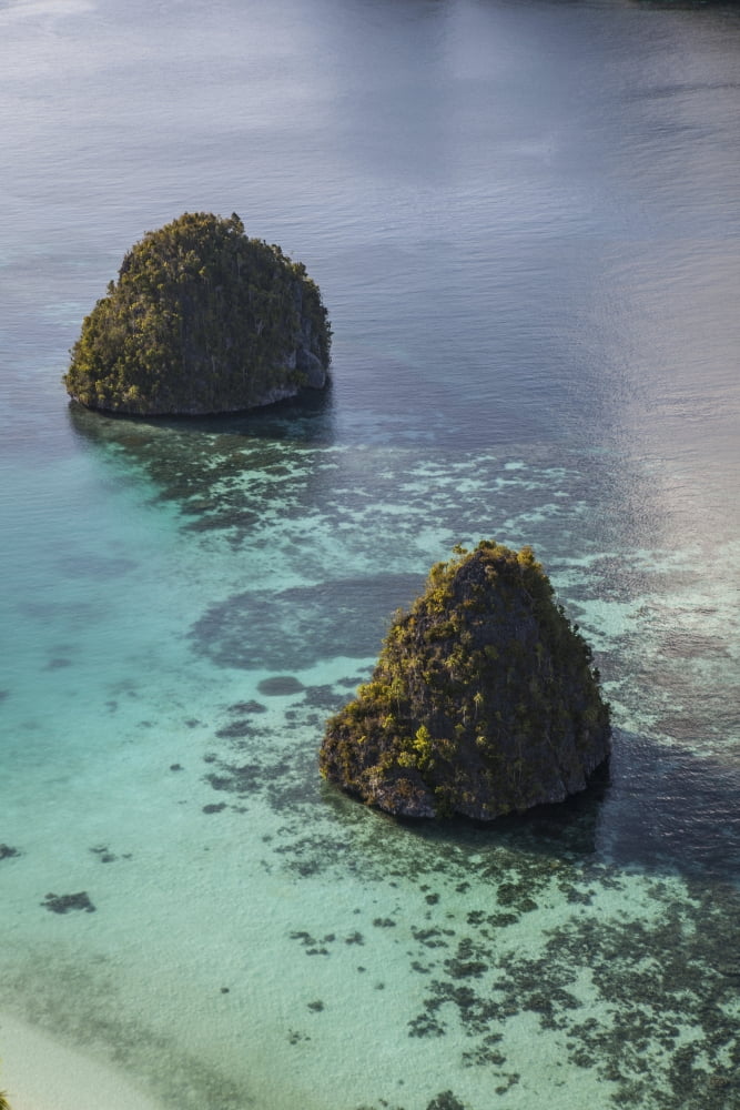 Limestone islands surrounded by a coral reef in Raja Ampat Canvas Art - Ethan DanielsStocktrek Images (12 x 17)