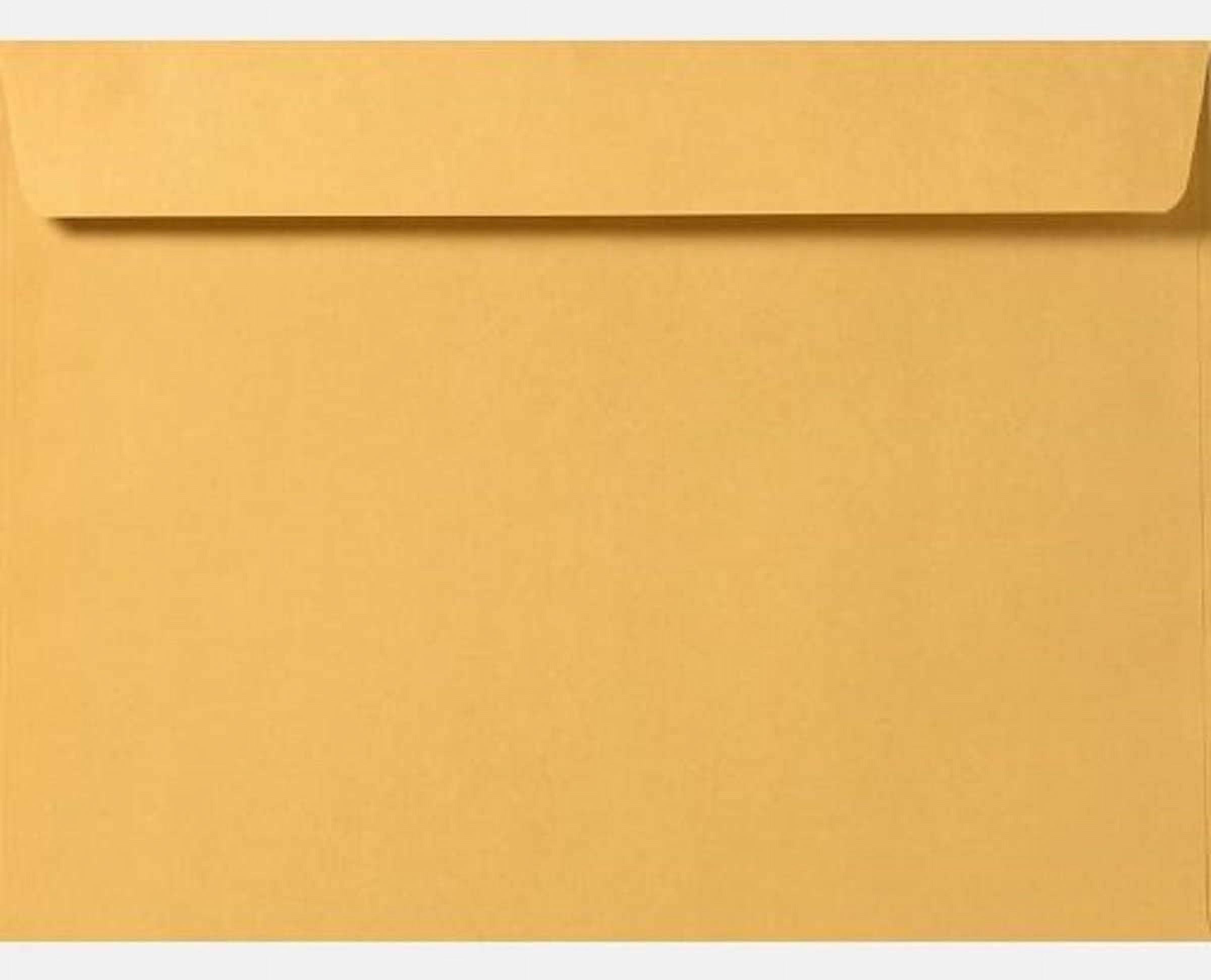 Limited Papers (TM) Booklet Envelopes, Brown Kraft, Gummed Seal, 28 Pound, Heavyweight, for Mailing and More. (1000, 10 x 13)