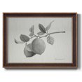 thumbnail image 1 of Limonero I Premium Framed Canvas- Ready to Hang, 1 of 1