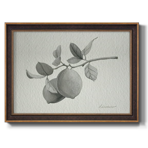 Limonero I Premium Framed Canvas- Ready to Hang