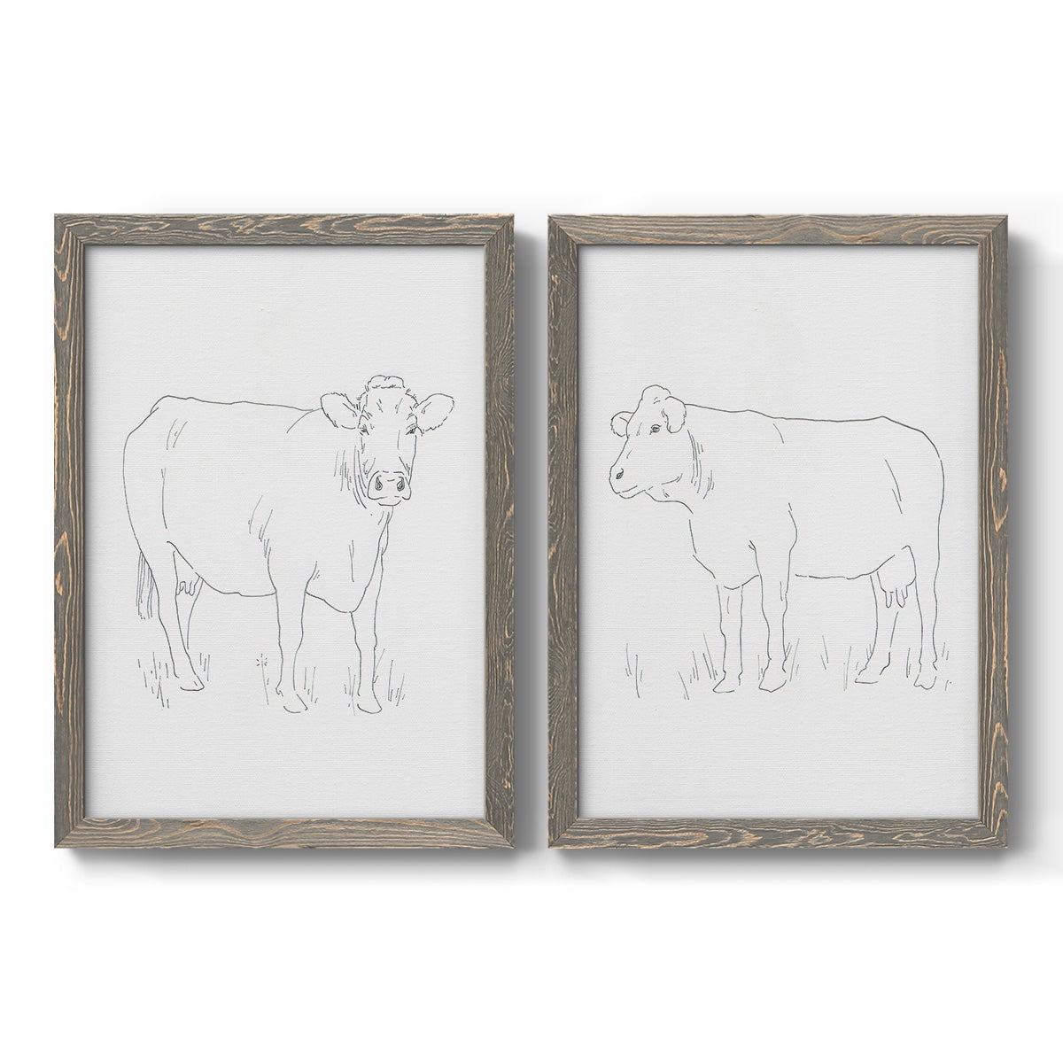 Limousin Cattle III - Premium Framed Canvas 2 Piece Set - Ready to Hang