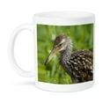 thumbnail image 1 of 3dRose, Limpkin bird, Viera wetlands, Florida, USA - US10 MPR0511 - Maresa Pryor, 11oz Mug, 1 of 1