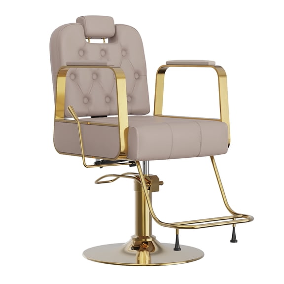Limthesky Barber Chair for Hair Stylist, Reclining Salon Chair with Headrest, Footrest, Adjustable Height Salon Spa Equipment for Barbershop,360° Swivel,Gray