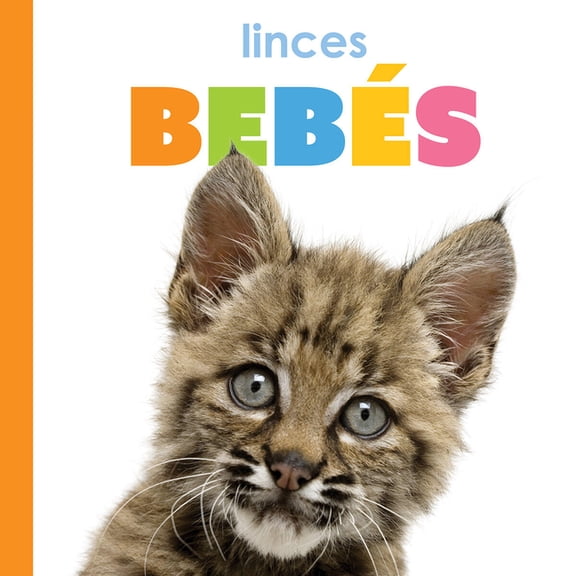 Linces Bebs, (Paperback)