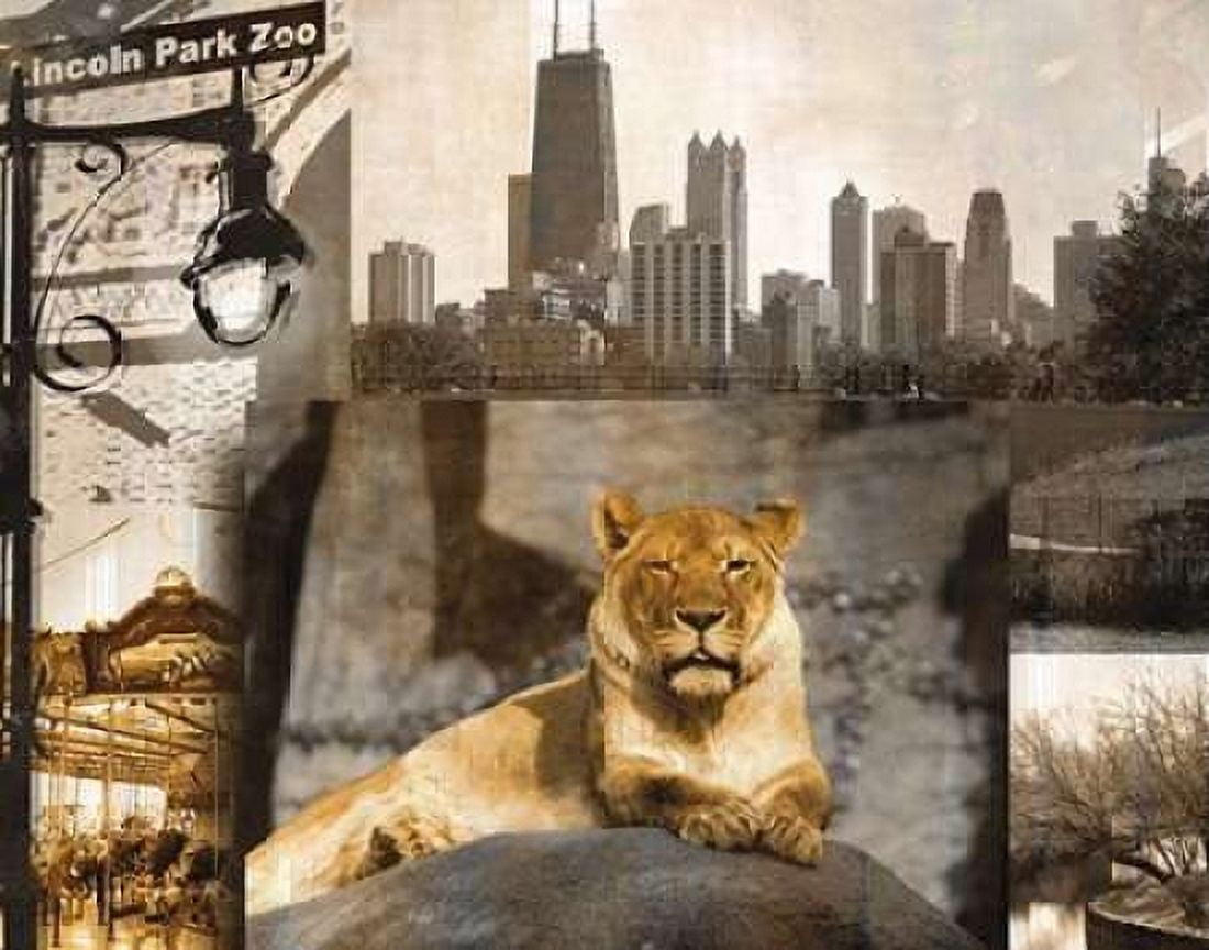 Lincoln Park Zoo Canvas Art - Kelly Donovan (22 x 28)