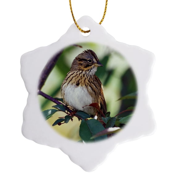 3drose, Lincolns Sparrow Bird - Na02 Aje0213 - Adam Jones, 3 inch Snowflake Porcelain Ornament