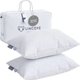 thumbnail image 1 of Lincove Canadian Resort Adult Hypoallergenic Standard Cotton Bed Pillows, Standard 2-Pack, 1 of 6