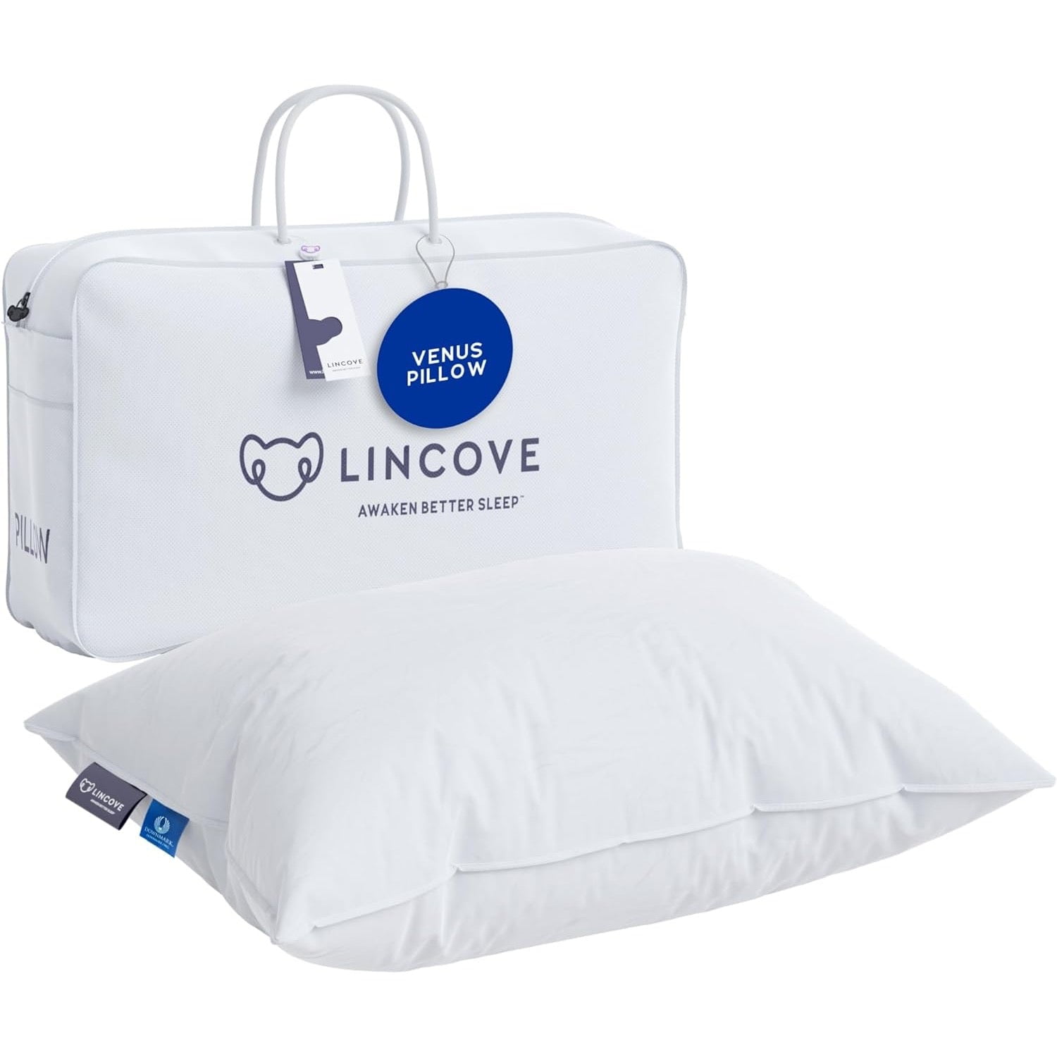 Standard White European Down Pillow with Cotton Shell