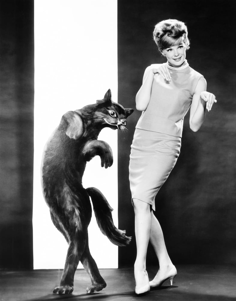 Linda Evans In Mgm Studio Publicity Pose Canvas Art - (16 x 20)