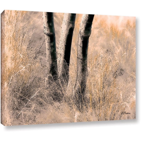Linda Parker "Desert Grasses II" Gallery-Wrapped Canvas