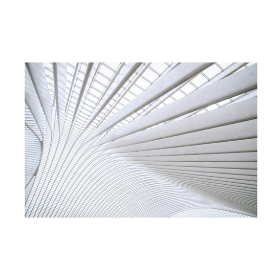 Linda Wride 'Curvature' Canvas Art