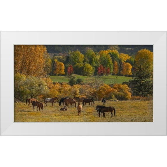 Linden, Sally 14x10 White Modern Wood Framed Museum Art Print Titled - Perfect Life
