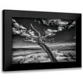 thumbnail image 1 of Linden, Sally 14x11 Black Modern Framed Museum Art Print Titled - Desert Tree, 1 of 5