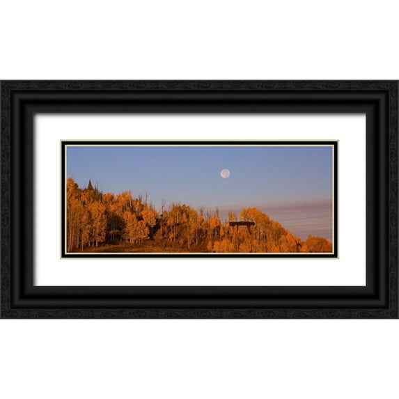 Linden, Sally 14x8 Black Ornate Wood Framed with Double Matting Museum Art Print Titled - Fall Trees Moon 2