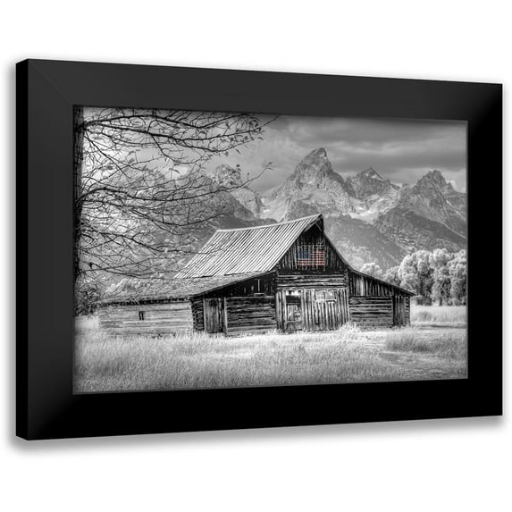 Linden, Sally 18x13 Black Modern Framed Museum Art Print Titled - Sign of the Feather w Flag