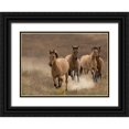 thumbnail image 1 of Linden, Sally 18x14 Black Ornate Wood Framed with Double Matting Museum Art Print Titled - Wild Mares, 1 of 4