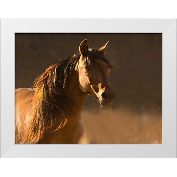 Linden, Sally 18x15 White Modern Wood Framed Museum Art Print Titled - Golden Light