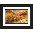 thumbnail image 1 of Linden, Sally 24x16 Black Ornate Wood Framed with Double Matting Museum Art Print Titled - Anastzi Homeland, 1 of 4