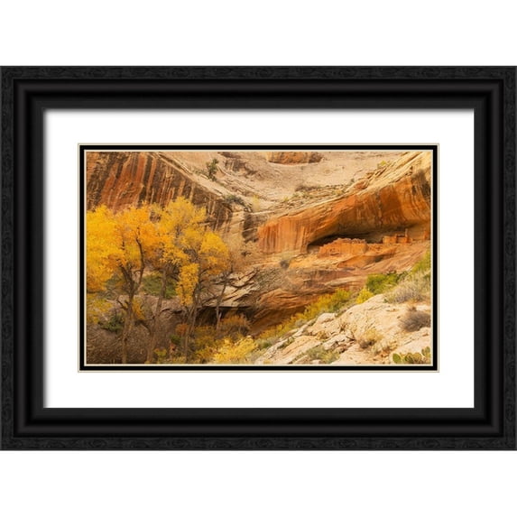 Linden, Sally 24x16 Black Ornate Wood Framed with Double Matting Museum Art Print Titled - Anastzi Homeland